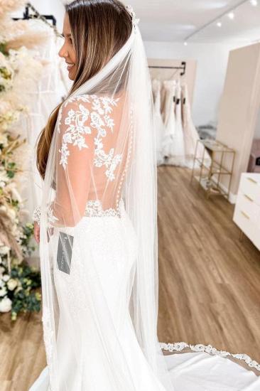 Glamorous Long Sleeved Lace Mermaid Wedding Dress_3