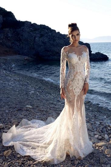 Elegant Lace Sweetheart Long Sleeves Mermaid Wedding dresses
