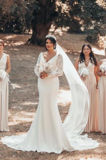 Gorgeous V-Neck Lace Sleeve Wedding Dress | Mermaid Wedding Dress_3