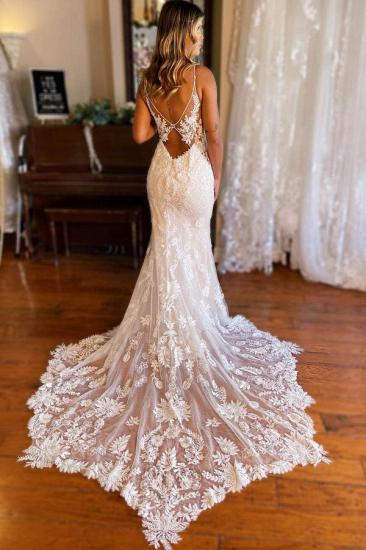 Lace V-Neck Backless Mermaid Wedding dresses_4