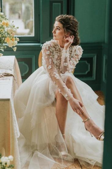 Elegant Lace Wedding Dress With Sleeves_2