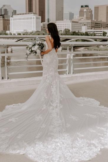 V-neck Open Back Mermaid Lace Long Wedding Dress With Big Train_2